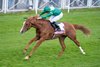 Benvenuto Cellini (Ryan Moore) head to victory in the Cheshire Vase
Chester 6.5.26 Pic: Edward Whitaker