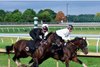 Golden Tempo (inside, Jose Ortiz up) works with So Sandy, May 23 2026, Keeneland