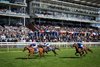 See The Fire (Oisin Murphy) wins the Middleton Fillies' Stakes
York 14.5.26 Pic: Edward Whitaker