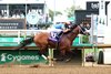 Vibe, AOC, May 2 2026, Churchill Downs
