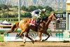Om N Joy and jockey Kent Desormeaux win the Grade II, $200,000 Santa Margarita Stakes, Saturday, May 30, 2026 at Santa Anita Park, Arcadia CA.
© BENOIT PHOTO
