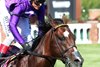 Outfielder wins the 2026 William Walker Stakes at Churchill Downs