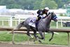 Napoleon Solo #10 with Paco Lopez riding won the $2,000,000 Grade I Preakness Stakes at Laurel Racecourse on Saturday May 16, 2026. Photo By Bill Denver/EQUI-PHOTO