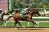 William R. Peeples’ Big City Lights and jockey Kazushi Kimura win the $100,000 Thor’s Echo Stakes Saturday, May 23, 2026 at Santa Anita Park, Arcadia, CA.
Benoit Photo