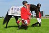 Lovcen wins the Tokyo Yushun (Japanese Derby) on Sunday, May 31 at Tokyo Racecourse