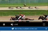 The Coral betting platform for in-race wagering on a May 28 race from Horseshoe Indianapolis