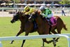 Celtic Dispute wins the 2026 Royal Palm Juvenile Stakes at Gulfstream Park