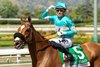 Thought Process and jockey Hector I. Berrios win the Grade I $300,000 Gamely Stakes Saturday May 25, 2026 at Santa Anita Park, Arcadia, CA.
Benoit Photo
