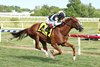 Warming #4 with John Velazquez riding won the $150,000 Grade III Gallorette Stakes at Laurel Racecourse on Saturday May 16, 2026. Photo By Bill Denver/EQUI-PHOTO