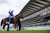 Ombudsman and William Buick wins the Prince Of Wales’s Stakes.
Royal Ascot day 2.
Photo: Patrick McCann/Racing Post
17.06.2026