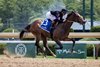 Luminous Beauty, Maiden Win, June 4 2026, Saratoga Race Course