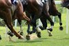 Racing Scene - Churchill Downs - 060726