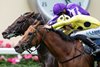 Bow Echo (Billy Loughnane) beats Gstaad in the St James's Palace Stakes
Ascot 16.6.26 Pic: Edward Whitaker