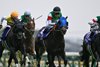 Sixpence wins the 2026 Yasuda Kinen at Tokyo Racecourse