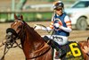 Gold Phoenix and jockey Hector Berrios win the Grade III, $100,000 San Juan Capistrano Stakes, Sunday, June 14, 2026 at Santa Anita Park, Arcadia CA.
© BENOIT PHOTO
