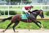 Magnitude wins the 2026 Stephen Foster Stakes at Churchill Downs