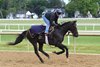 Deterministic - Gallop - SAR - 060126