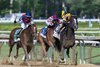 Counting Stars #2 with jockey Irad Ortiz jr. leads the way to the win in the 96th running of The Draft Kings Acorn G1 at the Saratoga Race Course on Belmont Festival Week Friday June 5, 2026 in Saratoga Springs, N.Y. The Belmont Stakes which will be run Saturday June 6th at the Saratoga Race Course. Photo by Skip Dickstein