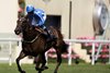 Venetian Sun and Clifford Lee winners of the Commonwealth Cup.
Royal Ascot day 4.
Photo: Patrick McCann/Racing Post
19.06.2026