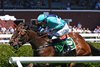 Jimmy P wins the 2026 Beverly R. Steinman Hurdle Handicap at Saratoga Race Course
