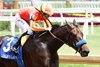 Explora wins the 2026 Leslie's Lady Stakes at Churchill Downs