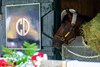 Morning after Golden Tempo with Jose Ortiz wins the Belmont Stakes (G1) presented by NYRA Bets at Saratoga in Saratoga Springs, N.Y., on June 7, 2026.