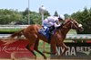 Georgie's Warrior, Maiden Win, June 19 2026, Aqueduct Racetrack