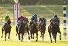 Sweet Rebecca wins the 2026 Wasted Tears Stakes at Lone Star Park