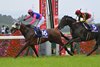 Meisho Tabaru (Yutaka Take up) wins the Takarazuka Kinen on Sunday, June 14, 2026 at Hanshin Racecourse
