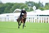 Joliestar (Chris Harwood) exercises
Ascot 12.6.26 Pic: Edward Whitaker