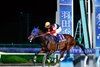 Finger wins the Haneda Hai on Sunday, April 29 at Oi Racecourse