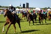 Bacio and Juan Hernandez crosses the line in the Palace Of Holyroodhouse Stakes.
Royal Ascot day 4.
Photo: Patrick McCann/Racing Post
19.06.2026