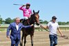 Baby Vino #6 ridden by Paco Lopez won the $125,000 Pegasus Stakes at Monmouth Park Racetrack in Oceanport, NJ on Saturday June 13, 2026. Photo By Taylor Ejdys/EQUI-PHOTO