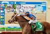 Multiple stakes-winner Journalism and jockey Umberto Rispoli, right, win the Grade II $300,000 San Diego Handicap Saturday, July 18, 2026 at Del Mar Thoroughbred Club, Del Mar, CA. The well-traveled son of Curlin is trained by Michael McCarthy and owned by Eclipse Thoroughbred Partners, Bridlewood Farms, Don Alberto Stable, et al..
Benoit Photo