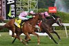 Ole Crazy Bone wins the 2026 Bowling Green Stakes at Saratoga Race Course