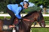 Golden Tempo (Jose Ortiz up) ahead of his quarter-mile work the morning of Sunday, July 26, 2026 at Saratoga Race Course