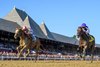 Fully Subscribed wins the 2026 Shuvee Stakes at Saratoga Race Course