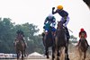 Baby Vino ridden by Jorge Vargas, Jr. won the $1,000,000 Grade I Haskell Stakes at Monmouth Park Racetrack in Oceanport, NJ on Saturday July 18, 2026. Photo By Ryan Denver/EQUI-PHOTO