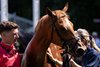 Senorita Bonita (Oisin Murphy) after the Duchess Of Cambridge Stakes
Newmarket 10.7.26 Pic: Edward Whitaker