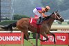 Effusive, Maiden Win, July 18 2026, Saratoga Race Course