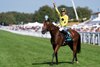 Bow Echo (Billy Loughnane) after the Sussex Stakes
Goodwood 29.7.26 Pic: Edward Whitaker