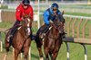 Kentucky Derby and Belmont winner Golden Tempo, right with regular jockey Jose Ortiz in the saddle breezed with stablemate Being Myself, left for his first work towards the Travers Stakes this morning at the Saratoga Race Course Sunday July 26, 2026 in Saratoga Springs, N.Y. Photo by Skip Dickstein