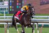 Jockey Irad Ortiz Jr.,aboard Counting Stars, held off Always Running with Jose Ortiz on way to the win in the 110th running of The Coaching Club American Oaks at the Saratoga Race Course Saturday July 25, 2026 in Saratoga Springs, N.Y. Photo by Skip Dickstein