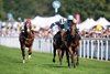 Pershaada (Sean Levey) wins the Molecomb
Goodwood 29.7.26 Pic: Edward Whitaker