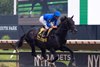 Knightsbridge #4 ridden by Flavien Prat won the $350,000 Grade III Monmouth Cup at Monmouth Park Racetrack in Oceanport, NJ on Saturday July 18, 2026. Photo By Taylor Ejdys/EQUI-PHOTO