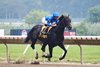 Knightsbridge ridden by Flavien Prat won the $350,000 Grade III Monmouth Cup at Monmouth Park Racetrack in Oceanport, NJ on Saturday July 18, 2026. Photo By Julia Sebastianelli/EQUI-PHOTO