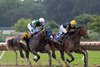 Baby Vino #3 ridden by Jorge Vargas, Jr. won the $1,000,000 Grade I Haskell Stakes at Monmouth Park Racetrack in Oceanport, NJ on Saturday July 18, 2026. Photo By Taylor Ejdys/EQUI-PHOTO