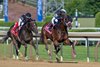 Built #8 with Irad Ortiz jr. in the saddle leads to the wire on the way to the win in the 42nd running of The Alfred G. Vanderbilt at the Saratoga Race Course Saturday July 25, 2026 in Saratoga Springs, N.Y. Photo by Skip Dickstein