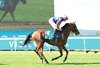 Diamond Necklace wins the 2026 Nassau Stakes at Goodwood