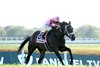 OLE CRAZY BONE wins the 2025 Kentucky Turf Cup Invitational Stakes at Kentucky Downs